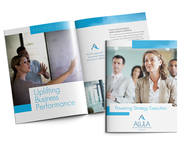 Learn how ALULA is uplifting busines performance - brochure